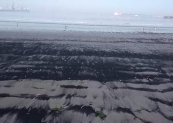 Costas de Quintero-Puchuncaví son afectadas por nuevo varamiento de carbón