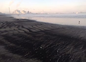 Quintero-Puchuncaví: empresas desisten de apelar fallo que prohíbe ingreso de buques con carbón a la bahía