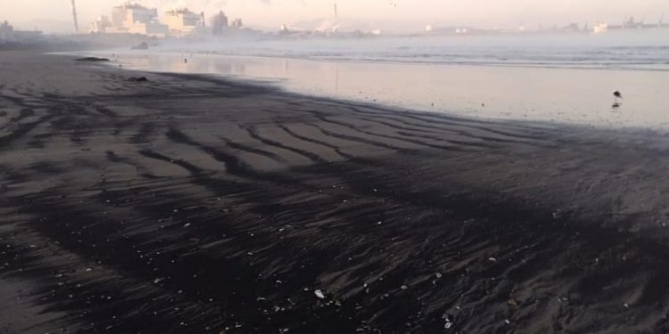 Quintero-Puchuncaví: empresas desisten de apelar fallo que prohíbe ingreso de buques con carbón a la bahía