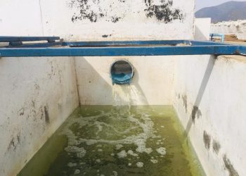 Olmué: Tribunal Ambiental aprobó conciliación entre vecinos y Municipalidad por demanda que exigía reparar daños causados por Planta de Tratamiento de Aguas Servidas