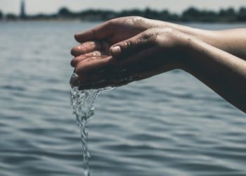 Columna de opinión / Agua y cambio climático ¿Sequía o Saqueo?