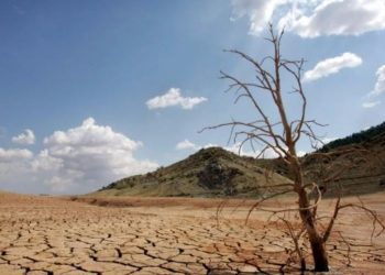 Columna de opinión / Impacto del cambio climático y la crisis hídrica en la conservación de los suelos
