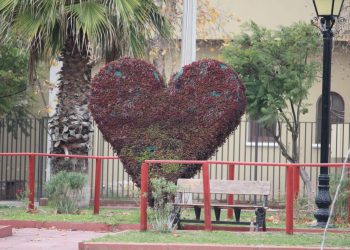 Municipalidad de La Calera no continuará con la construcción de nuevos topiarios en la ciudad por alto costo