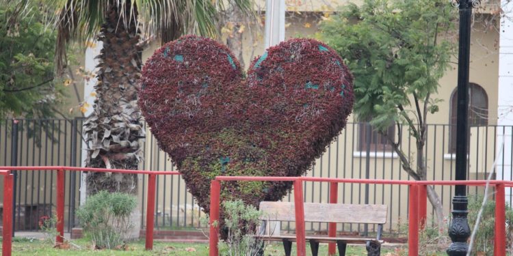 Municipalidad de La Calera no continuará con la construcción de nuevos topiarios en la ciudad por alto costo