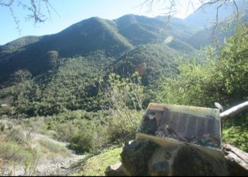 Municipalidad de Olmué y Conaf suscriben convenio para la protección del medio ambiente