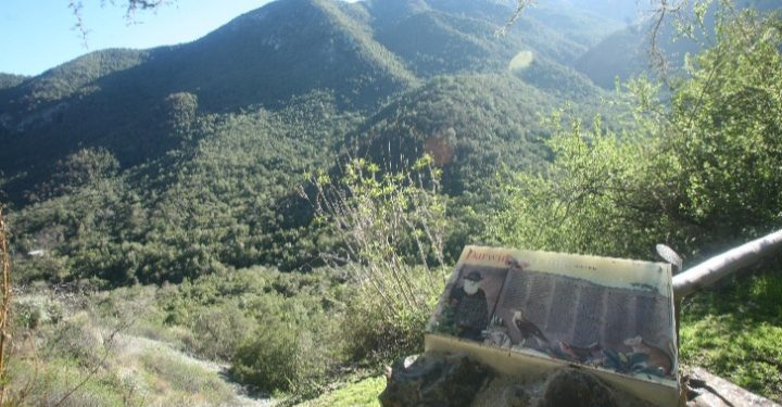 Municipalidad de Olmué y Conaf suscriben convenio para la protección del medio ambiente