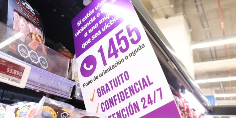 En Valparaíso lanzan campaña informativa contra la violencia hacia la mujer