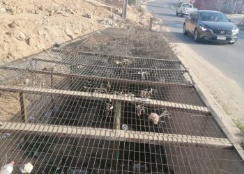 Municipalidad de Villa Alemana paraliza obra clandestina que intervino cauce natural de aguas lluvias en Peñablanca