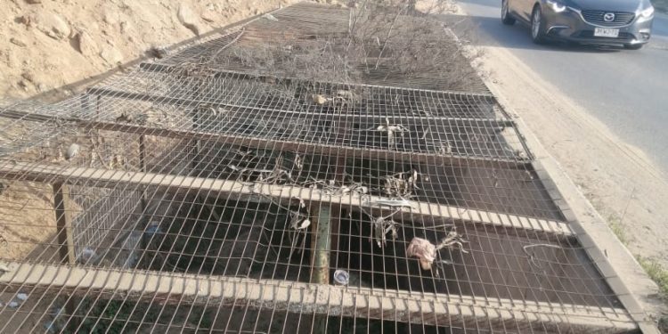Municipalidad de Villa Alemana paraliza obra clandestina que intervino cauce natural de aguas lluvias en Peñablanca