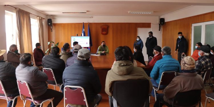 La Ligua: entrega de pasto popular a bajo costo continuará siendo prioridad