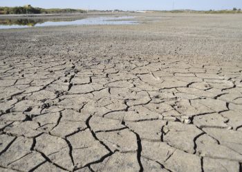 Columna de opinión / El fantasma ya está aquí