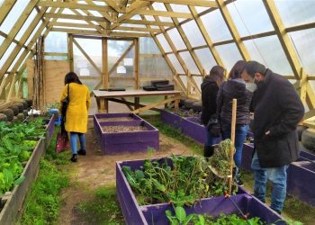 Estratégica alianza de la UPLA y comunidades de Valparaíso y Villa Alemana logra soluciones innovadoras en distintas áreas sociales