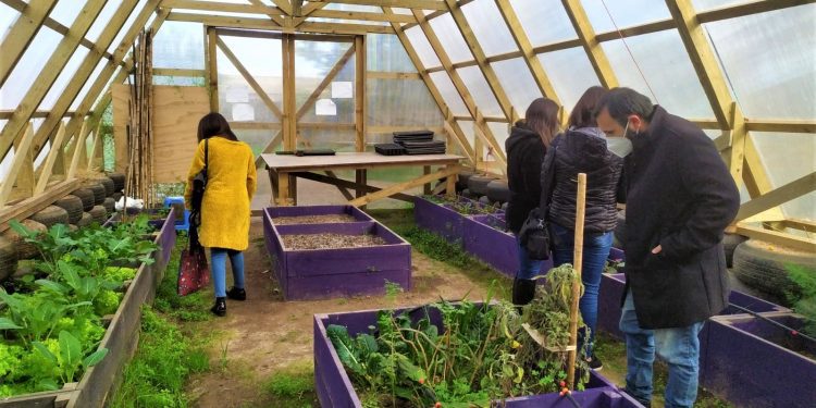 Estratégica alianza de la UPLA y comunidades de Valparaíso y Villa Alemana logra soluciones innovadoras en distintas áreas sociales