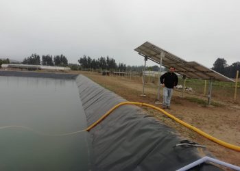 La Ligua: con nuevo tranque, habilitación de pozo y paneles solares mejoran riego a cooperativa de Longotoma