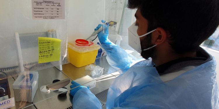 Frente a inquietud por Delta Laboratorio de Biología Molecular de Quillota permite detectar variantes de COVID-19