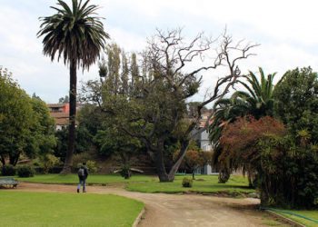Por unanimidad Concejo Municipal de Valparaíso rechazó propuesta inmobiliaria para la construcción de proyecto habitacional en Parque Pümpin