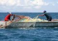 Senadora Isabel Allende espera que el Gobierno encuentre una alternativa para ayudar a los pescadores