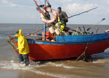 Cámara de Diputados aprobó por amplia mayoría proyecto que incorpora a pescadores artesanales como beneficiarios de Bono Alivio Pyme