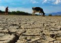 AMUCH solicita que se decrete zona de catástrofe por sequía a cuatro regiones del país