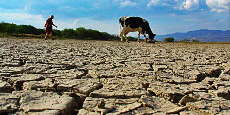 AMUCH solicita que se decrete zona de catástrofe por sequía a cuatro regiones del país