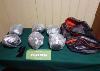 Más de 6 kilos de droga fueron decomisados en sector Las Palmas de Petorca