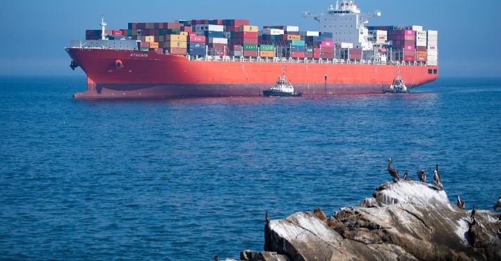 16,5 millones de toneladas transferidas en lo que va del año registra el puerto de San Antonio