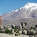 Gobierno de Bolivia entregó asistencia legal a militares detenidos en Chile
