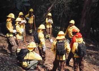 Abren postulaciones para ser brigadistas de Conaf en la provincia de Petorca