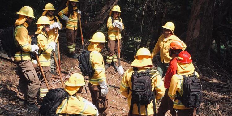 Abren postulaciones para ser brigadistas de Conaf en la provincia de Petorca