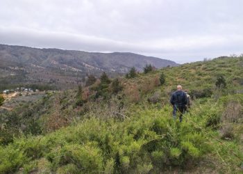 Valparaíso: docentes de la UPLA y vecinos de Laguna Verde buscan crear Parque Las Orquídeas