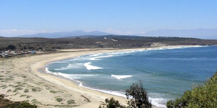La Ligua: bañista muere al intentar salvar a su hija que se ahogaba en playa de Pichicuy mientras celebraban cumpleaños