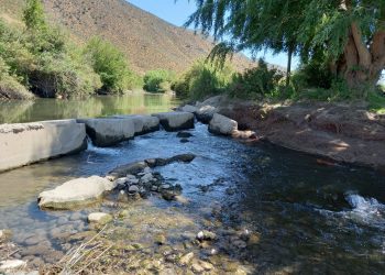Intervienen sección del río Aconcagua para garantizar suministro de agua a raíz de la escasez hídrica