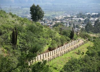 Parque Urbano de La Ligua reabre sus puertas desde hoy
