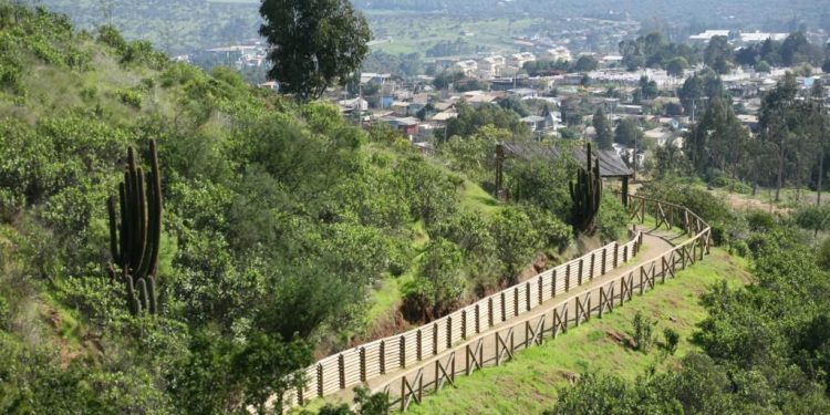 Parque Urbano de La Ligua reabre sus puertas desde hoy