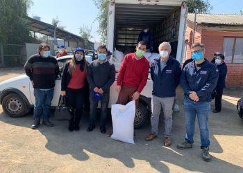 Pequeños agricultores de Panquehue reciben más de seis toneladas de alimento para ganado