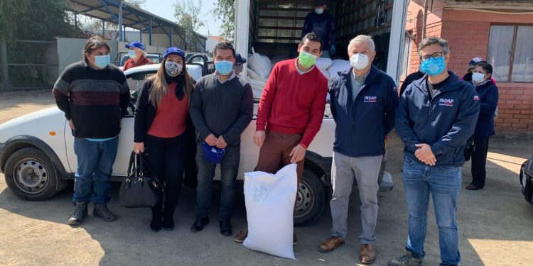 Pequeños agricultores de Panquehue reciben más de seis toneladas de alimento para ganado