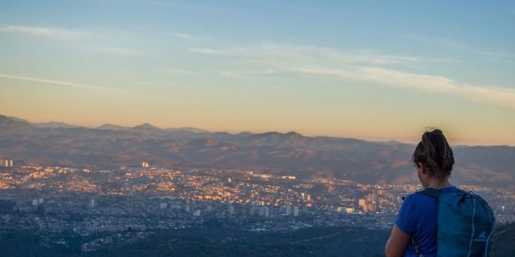 Crean circuito con valiosa experiencia turística en Parque Nativo Los Peumos de Quilpué