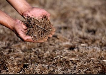 Opinión / Decreto de emergencia agrícola: ¿Una nueva normalidad?