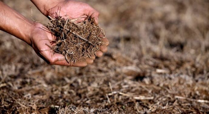 Opinión / Decreto de emergencia agrícola: ¿Una nueva normalidad?