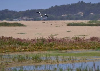 En su recta final entra propuesta de institucionalidad del agua impulsada por Escenarios Hídricos 2030
