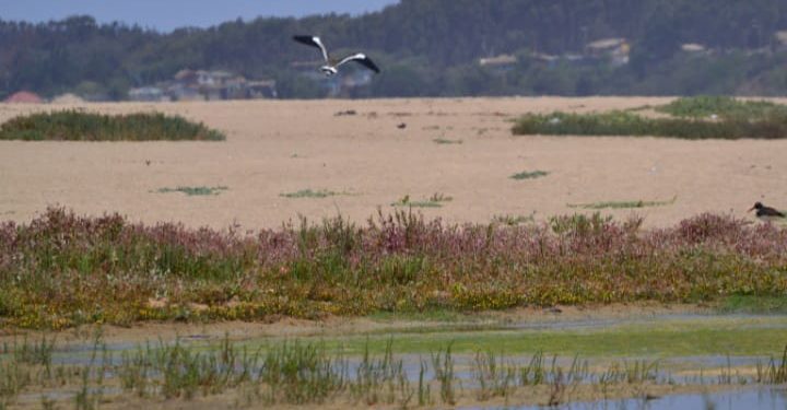 En su recta final entra propuesta de institucionalidad del agua impulsada por Escenarios Hídricos 2030