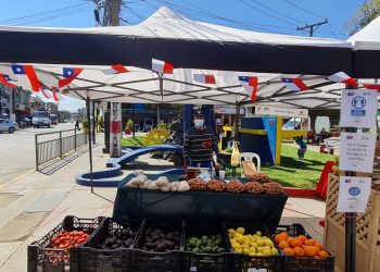 Mercado Campesino «Feria Campo Verde» regresa a La Calera
