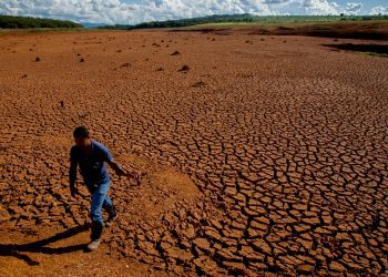 76% del territorio nacional se encuentra afectado por la desertificación