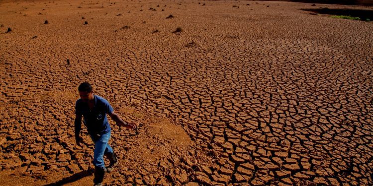 76% del territorio nacional se encuentra afectado por la desertificación