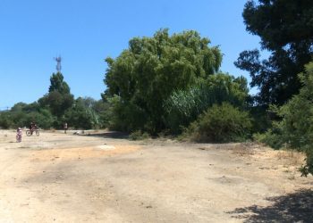 Municipalidad de Villa Alemana pide el congelamiento de construcción en cancha Trizano