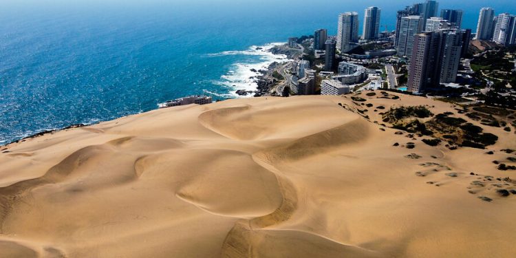 Concón: Tribunal Ambiental acoge medida para paralizar revegetación de Reconsa en dunas