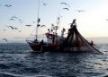 Columna de opinión / La pesca ilegal y «Ley Longueira»: El flagelo de la merluza común