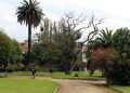 Suprema define que decreto municipal que detuvo la construcción de Parque Pumpin de Valparaíso estuvo fuera de regla