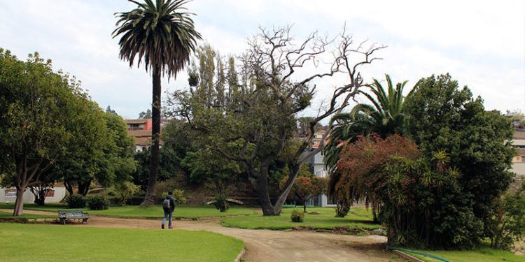 Suprema define que decreto municipal que detuvo la construcción de Parque Pumpin de Valparaíso estuvo fuera de regla