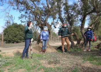 En Papudo vecinos de El Tome aprenden a manejar la vegetación para prevenir incendios forestales